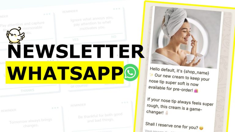 Miniature sur comment créer une newsletter sur Whatsapp